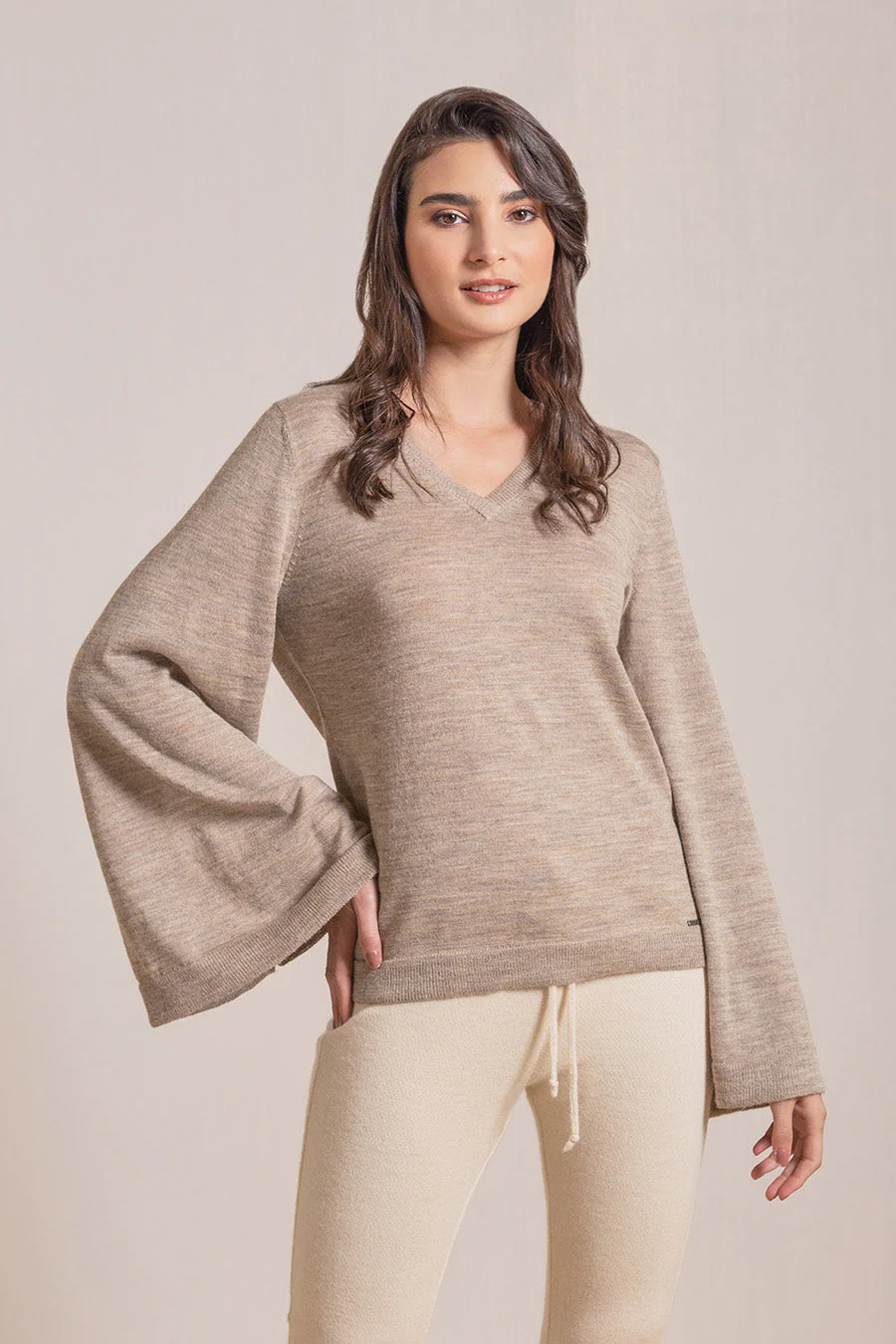 Vizir Sweater Baby Alpaca Color Arena